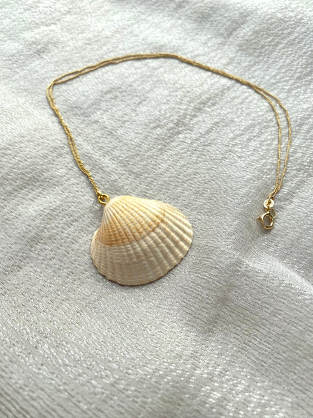 Muschelkette Westerland Beige - goldensylt jewelry